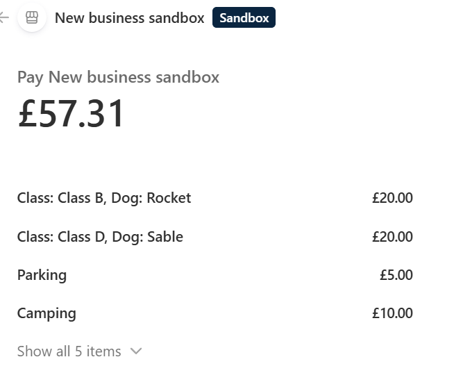 The secure card checkout page listing the entry line items